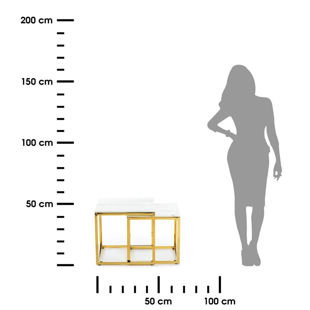 Kahden Gold Light -pöydän sarja hinta ja tiedot | Sohvapöydät | hobbyhall.fi