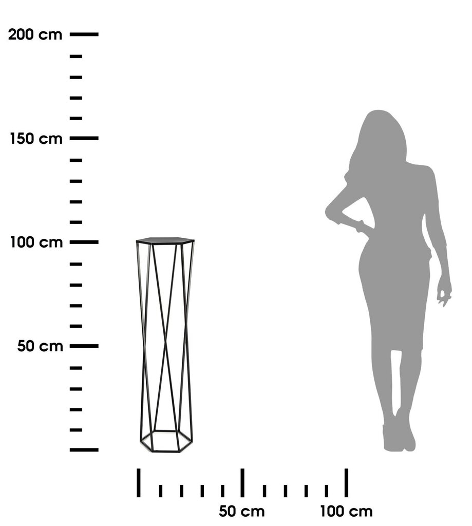 Kasviteline musta 100 cm hinta ja tiedot | Kukkatelineet ja kukkapöydät | hobbyhall.fi