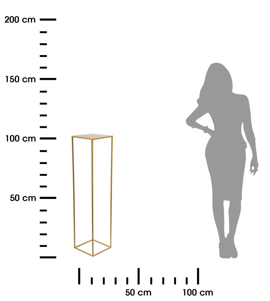 Kultainen moderni seisova kukkapenkki 100 cm hinta ja tiedot | Kukkatelineet ja kukkapöydät | hobbyhall.fi
