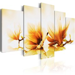 Kuva - Amber magnolias hinta ja tiedot | Taulut | hobbyhall.fi