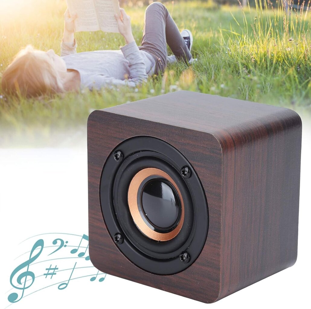 Hi-fi Audio Walnut Wood Grain Home hinta ja tiedot | Kaiuttimet | hobbyhall.fi