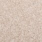 vidaXL Lyhytnukkainen matto 120x170 cm tumma beige hinta ja tiedot | Isot matot | hobbyhall.fi