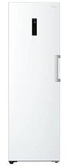 LG GFE61SWCSZ hinta ja tiedot | LG Jääkaapit ja pakastimet | hobbyhall.fi