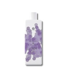 Tuoksullinen suihkugeeli Alchimia Lavender, 500 ml hinta ja tiedot | Suihkusaippuat ja suihkugeelit | hobbyhall.fi