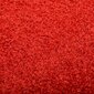 vidaXL Ovimatto pestävä punainen 120x180 cm hinta ja tiedot | Ovimatot | hobbyhall.fi