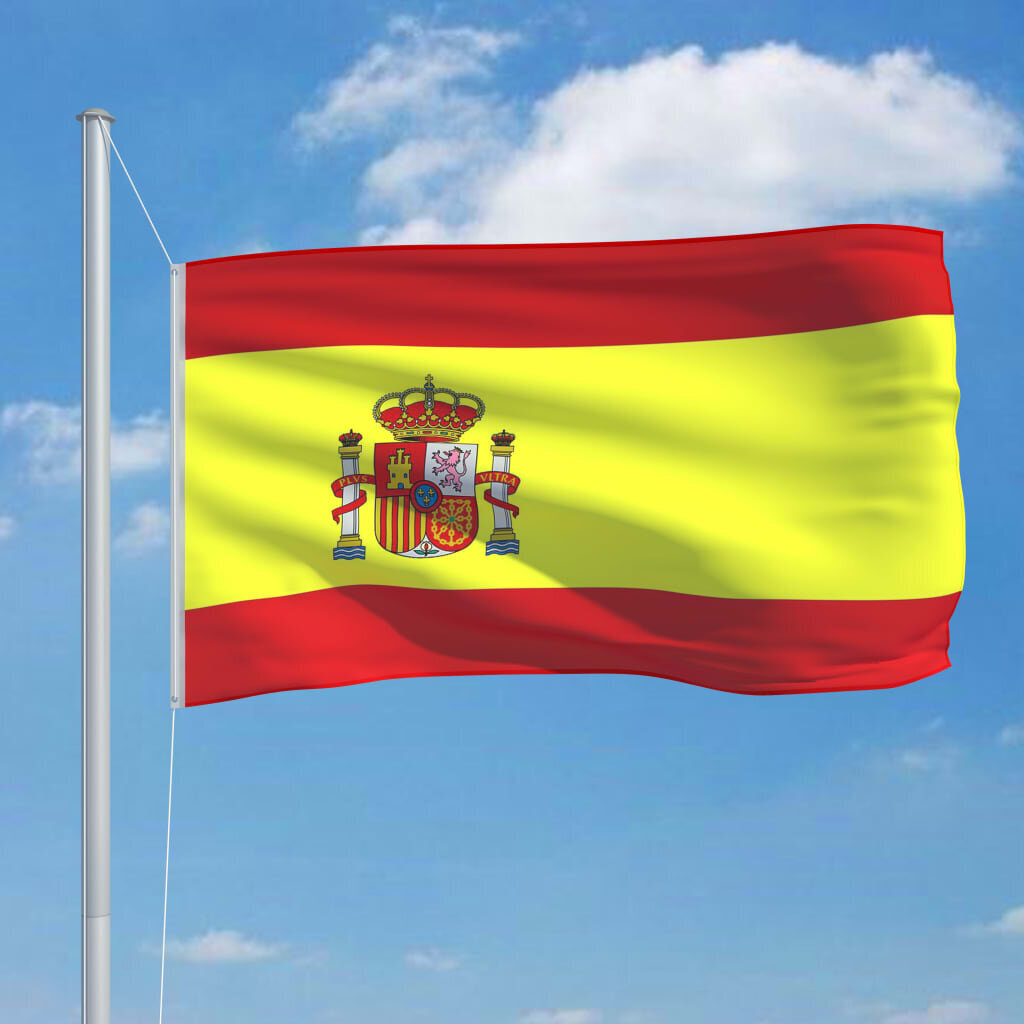 vidaXL Espanjan lippu 90x150 cm hinta ja tiedot | Liput | hobbyhall.fi