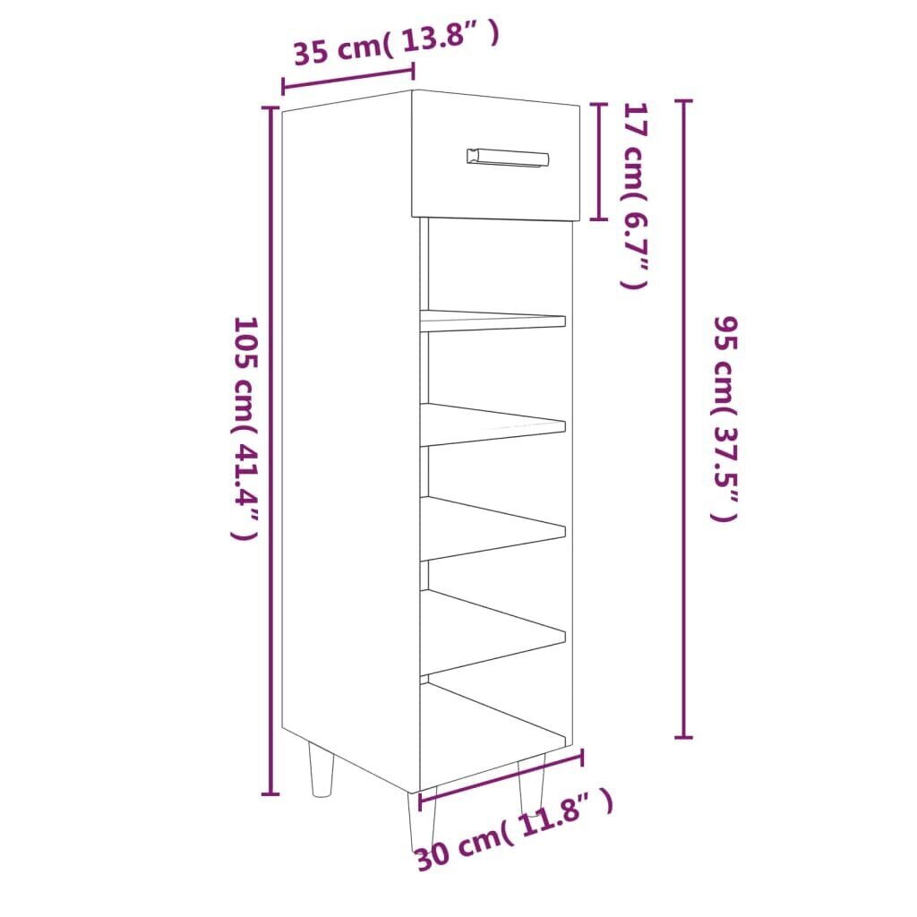 vidaXL Kenkäkaappi musta 30x35x105 cm tekninen puu hinta ja tiedot | Kenkäkaapit ja -hyllyt | hobbyhall.fi