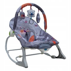 Baby -Coo Swing - vauvasitteri 43 x 64 cm hinta ja tiedot | Baby-Coo Vauvatarvikkeet | hobbyhall.fi