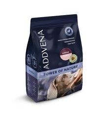 Addvena Power of Nature Junior pienten rotujen nuorille koirille karitsalla, 2,5 kg hinta ja tiedot | Koiran kuivaruoka | hobbyhall.fi