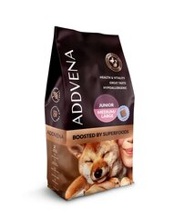 Addvena Boosted by Superfoods vidutinių ir didelių veislių jauniems šunims su žvėriena, triušiena ir jautiena, 10 kg hinta ja tiedot | Koiran kuivaruoka | hobbyhall.fi