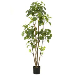 Emerald Tekokasvi Hopea-aralia ruukussa 160 cm hinta ja tiedot | Keinotekoiset kukat | hobbyhall.fi