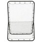 vidaXL Multisport pesäpallo/softball palautusverkko 121,5x98x175 cm hinta ja tiedot | Jalkapallomaalit ja verkot | hobbyhall.fi