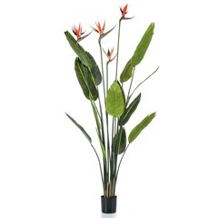 Emerald Tekokasvi Strelitzia-puu 4 kukalla ruukussa 150 cm hinta ja tiedot | Keinotekoiset kukat | hobbyhall.fi