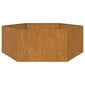 vidaXL Kukkalaatikko ruoste 138x120x45 cm Corten teräs hinta ja tiedot | Kukkalaatikot | hobbyhall.fi