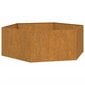 vidaXL Kukkalaatikko ruoste 138x120x45 cm Corten teräs hinta ja tiedot | Kukkalaatikot | hobbyhall.fi