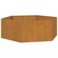 vidaXL Kukkalaatikko ruoste 138x120x45 cm Corten teräs hinta ja tiedot | Kukkalaatikot | hobbyhall.fi