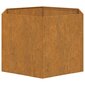 vidaXL Kukkalaatikko ruoste 60x60x45 cm Corten teräs hinta ja tiedot | Kukkalaatikot | hobbyhall.fi