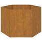 vidaXL Kukkalaatikko ruoste 60x60x45 cm Corten teräs hinta ja tiedot | Kukkalaatikot | hobbyhall.fi