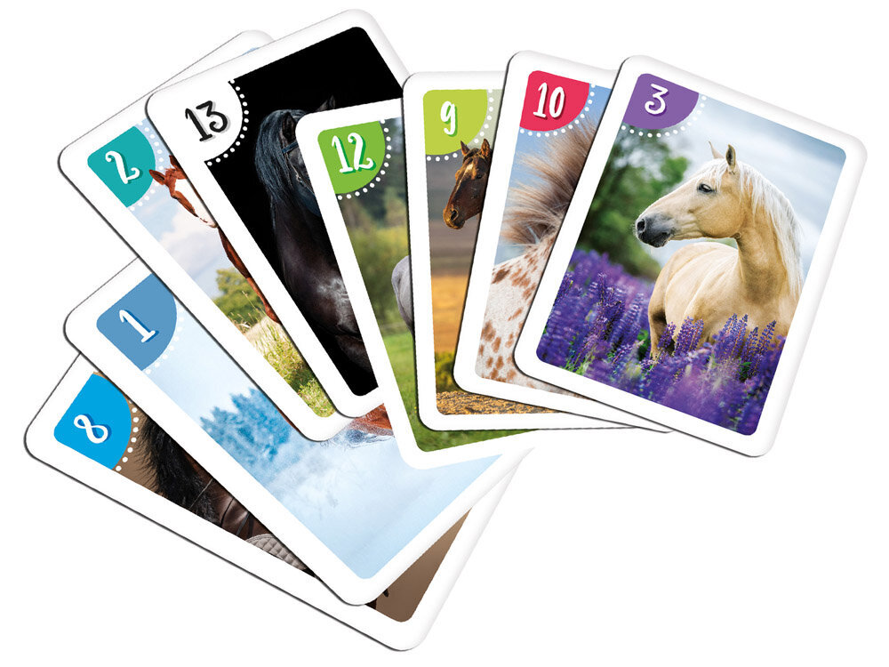 Korttipelisetti, hevoset hinta ja tiedot | Kehittävät lelut | hobbyhall.fi