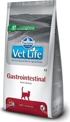 Farmina Vet Life Gastrointestinal Feline kissoille, kanaa, 2 kg hinta ja tiedot | Farmina Lemmikit | hobbyhall.fi