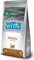 Farmina Vet Life Diabetic kuivaruoka kissoille, kanaa, 2 kg hinta ja tiedot | Kissan kuivaruoka | hobbyhall.fi