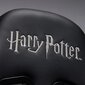 Pelituoli Subsonic Pro Harry Potter Slytherin, musta/vihreä hinta ja tiedot | Toimistotuolit | hobbyhall.fi