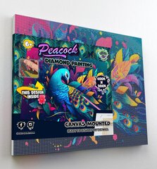 Timanttimosaiikki Splat Planet Peacock, 30x40 cm hinta ja tiedot | Timanttimaalaukset | hobbyhall.fi