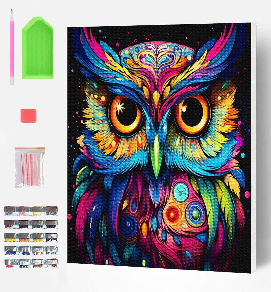 Timanttimosaiikki Splat Planet Owl, 30x40 cm hinta ja tiedot | Timanttimaalaukset | hobbyhall.fi