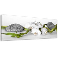 Kuva, Orkidea ja kivet hinta ja tiedot | Taulut | hobbyhall.fi