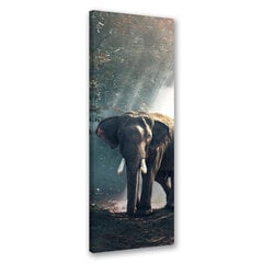 Kuva, Elefantti viidakossa hinta ja tiedot | Taulut | hobbyhall.fi