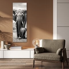 Kuva, Elefantit hinta ja tiedot | Taulut | hobbyhall.fi
