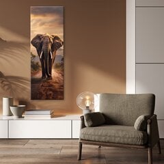 Kuva, Kävelevä norsu hinta ja tiedot | Taulut | hobbyhall.fi