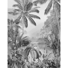 Komar Valokuvaseinämaalaus Lac Tropical Black & White 200x270 cm hinta ja tiedot | Valokuvatapetit | hobbyhall.fi