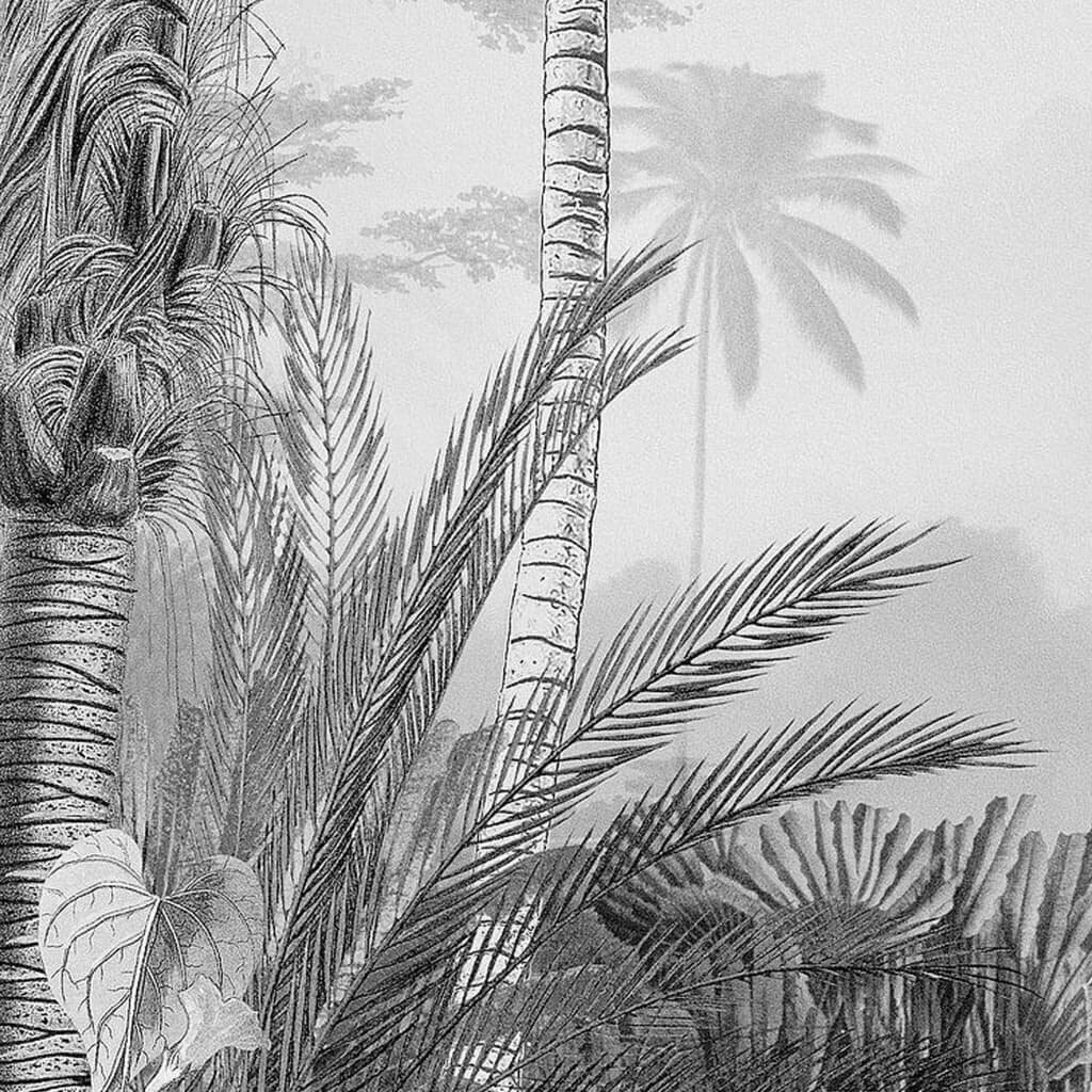 Komar Valokuvaseinämaalaus Lac Tropical Black & White 200x270 cm hinta ja tiedot | Valokuvatapetit | hobbyhall.fi