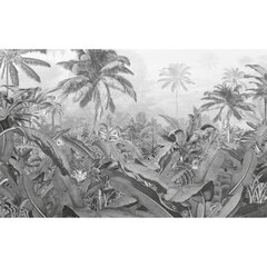 Komar Valokuvaseinämaalaus Amazonia mustavalkoinen 400x250 cm hinta ja tiedot | Valokuvatapetit | hobbyhall.fi