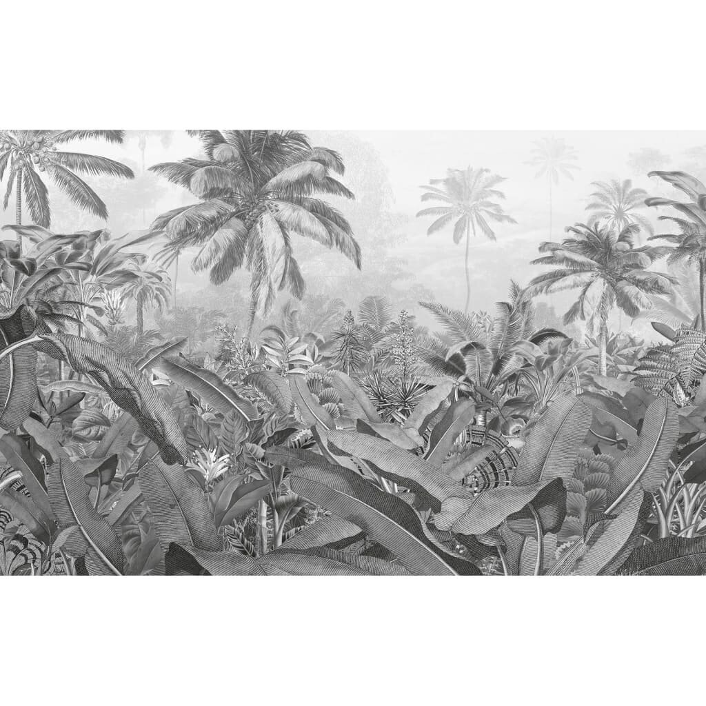 Komar Valokuvaseinämaalaus Amazonia mustavalkoinen 400x250 cm hinta ja tiedot | Valokuvatapetit | hobbyhall.fi