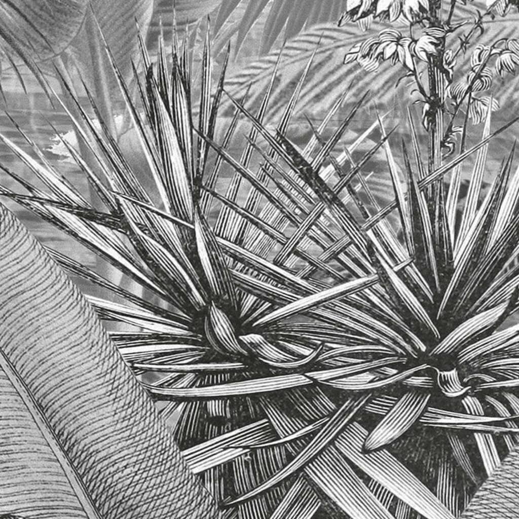 Komar Valokuvaseinämaalaus Amazonia mustavalkoinen 400x250 cm hinta ja tiedot | Valokuvatapetit | hobbyhall.fi