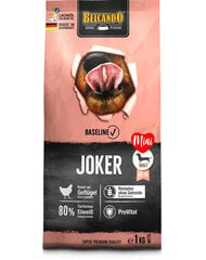 Belcando Baseline Joker Grain Free kaikille koiraroduille siipikarjanlihaa, 4 kg hinta ja tiedot | Belcando Lemmikit | hobbyhall.fi