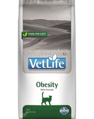 Farmina Vet Life Cat Obesity kuivaruoka kissoille, kanaa, 5 kg hinta ja tiedot | Kissan kuivaruoka | hobbyhall.fi