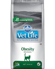 Farmina Vet Life Cat Obesity kuivaruoka kissoille, kanaa, 10 kg hinta ja tiedot | Kissan kuivaruoka | hobbyhall.fi