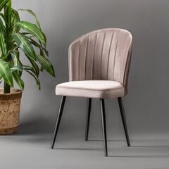 Tuolisetti Kalune Design Rubi, 2 kpl, beige hinta ja tiedot | Ruokapöydän tuolit | hobbyhall.fi