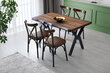 Tuolisetti Kalune Design Ekol - 261, 4 kpl, ruskea/musta hinta ja tiedot | Ruokapöydän tuolit | hobbyhall.fi
