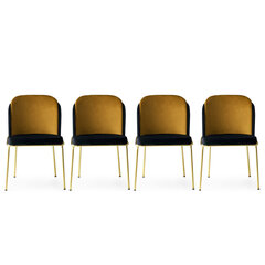 Tuolisetti Kalune Design Dore - 106, 4 kpl, musta/kulta hinta ja tiedot | Ruokapöydän tuolit | hobbyhall.fi
