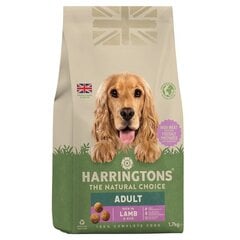 Harringtons Complete koirille, karitsaa ja riisiä, 1,7 kg hinta ja tiedot | Koiran kuivaruoka | hobbyhall.fi