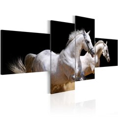 Kuva - Animal world- white horses galloping hinta ja tiedot | Taulut | hobbyhall.fi