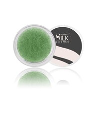 Silkkiripset Perfect Silk Lashes 2500 J.12 Green 13 mm hinta ja tiedot | Irtoripset ja ripsentaivuttimet | hobbyhall.fi