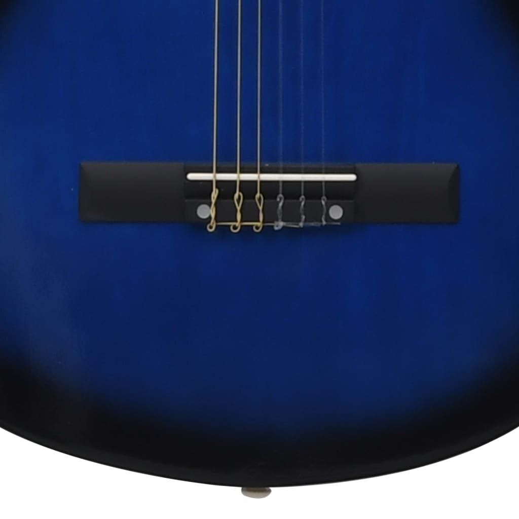vidaXL Klassinen kitara aloittelijan sarja laukulla sininen 4/4 39" hinta ja tiedot | Kitarat | hobbyhall.fi