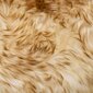 vidaXL Tuolinpehmusteet 2 kpl ruskea melange 40x40cm aito lampaannahka hinta ja tiedot | Istuintyynyt, pehmusteet ja päälliset | hobbyhall.fi