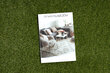 Tekonurmi Yara, vihreä, 300x500 cm hinta ja tiedot | Keinotekoiset kukat | hobbyhall.fi