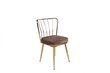 Tuolisetti Kalune Design Yildiz - 927, 4 kpl, kulta/ruskea hinta ja tiedot | Ruokapöydän tuolit | hobbyhall.fi